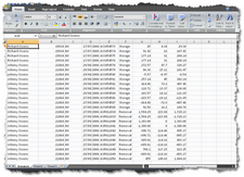 MS Excel 2007