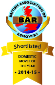 Domestic Mover of the Year